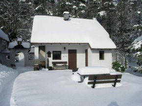 small holiday home at the edge of the forest